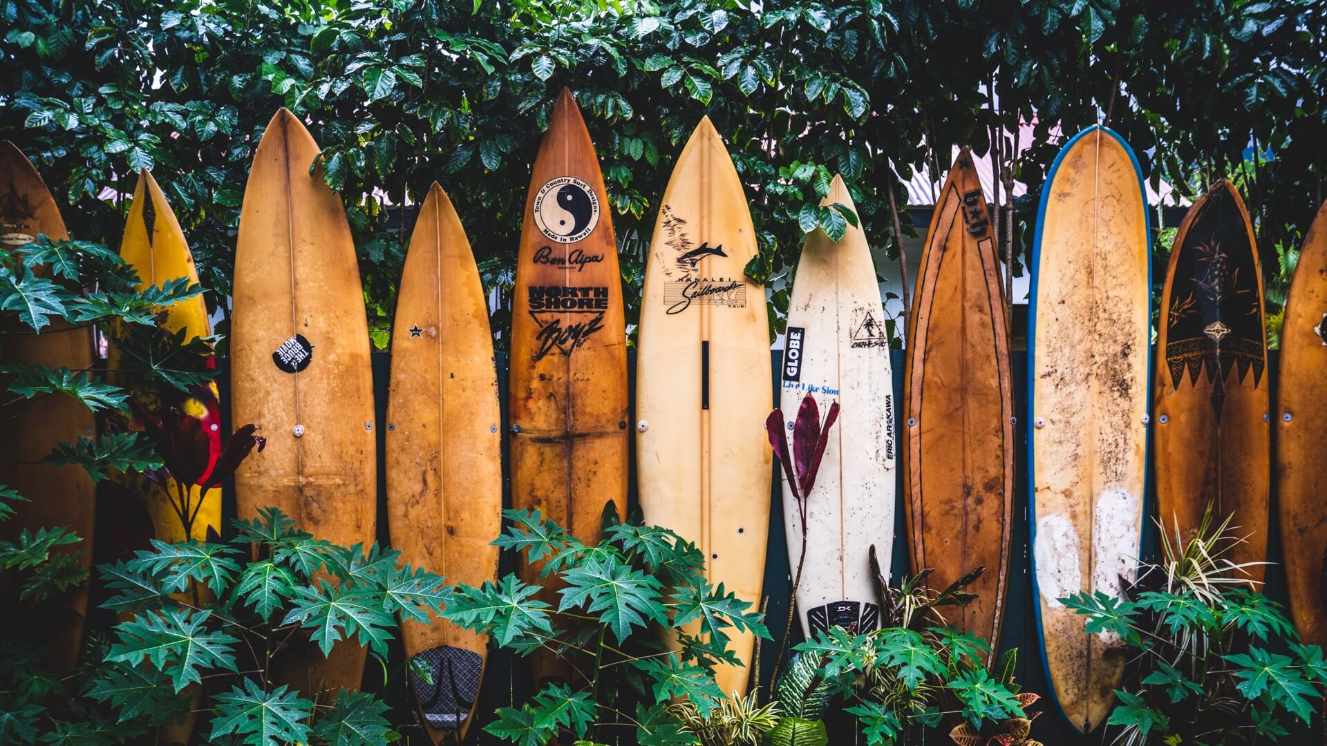 Surfboard auf Bali mieten